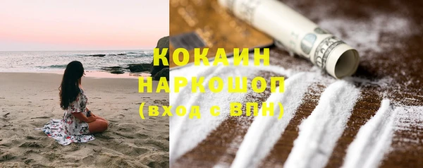 шишки Белокуриха