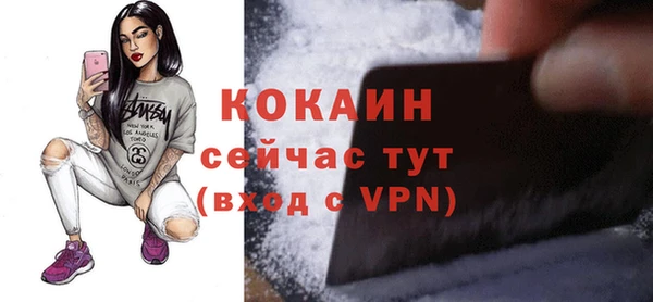 шишки Белокуриха