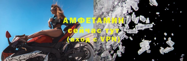 шишки Белокуриха