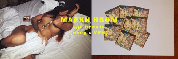 шишки Белокуриха