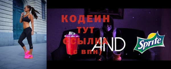 шишки Белокуриха