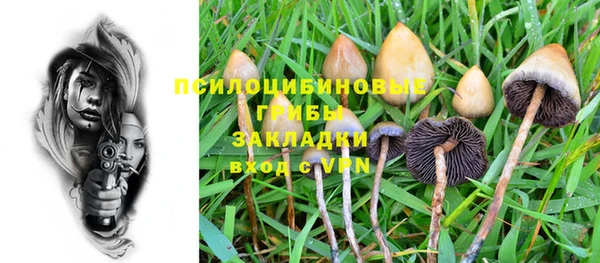 шишки Белокуриха