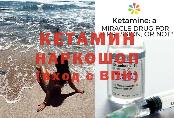 шишки Белокуриха