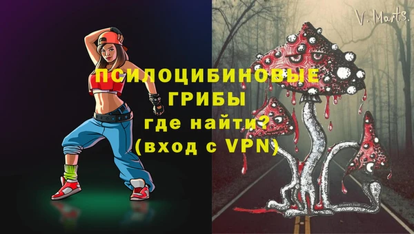шишки Белокуриха