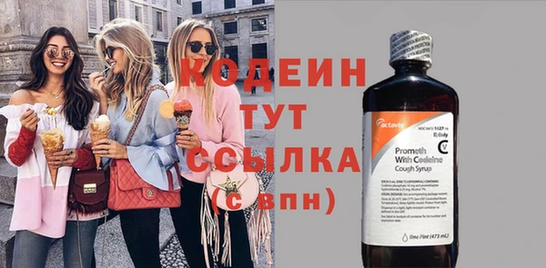 шишки Белокуриха