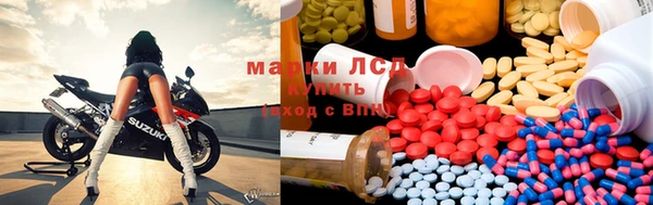 шишки Белокуриха