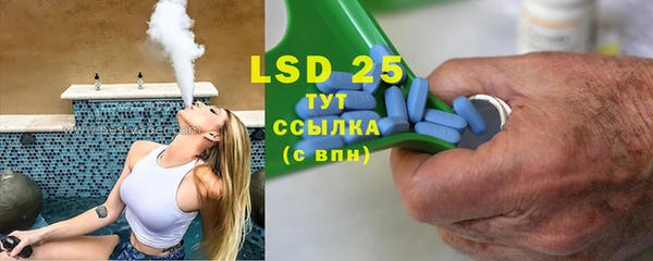 шишки Белокуриха